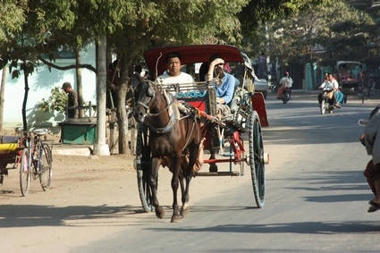 horse cart